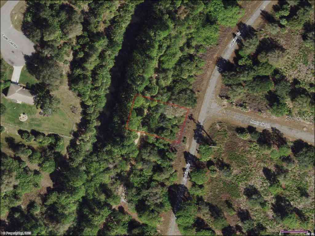 Slider Thumb