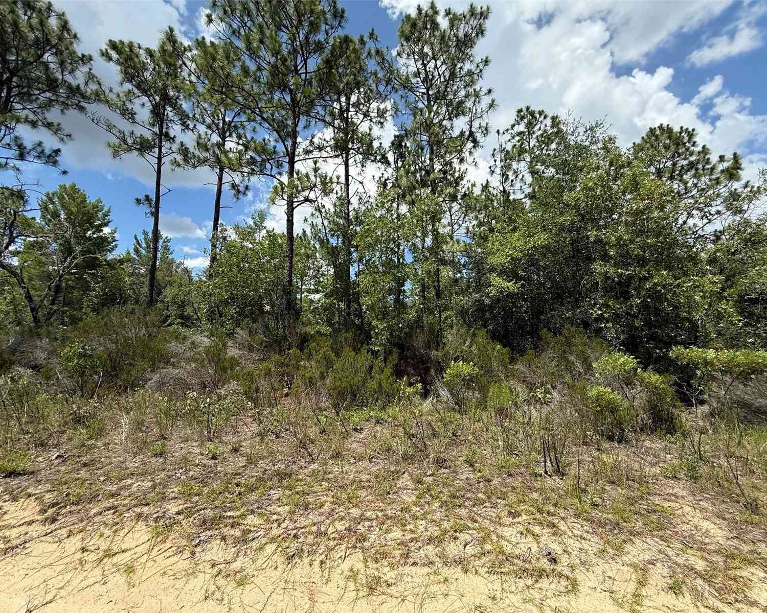 Vacant Land For Sale - 187 Paris Street<br/> INTERLACHEN, FL 32148