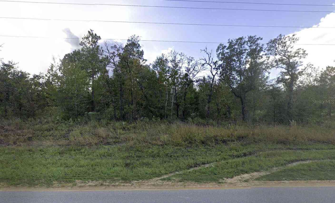 Vacant Land For Sale - 1504 Lakeview Trail<br/> INTERLACHEN, FL 32148