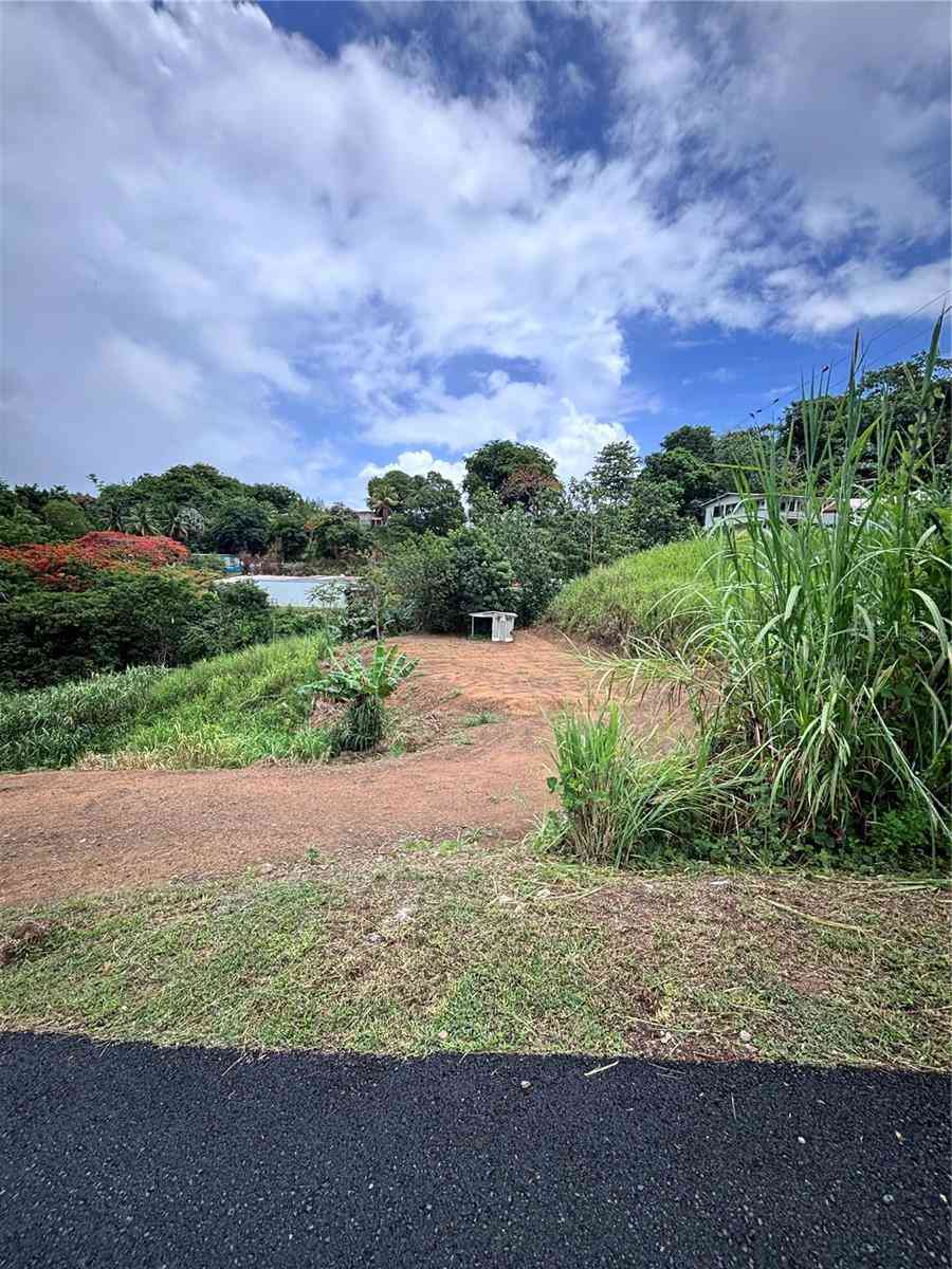 Vacant Land For Sale - BARRIO GUADIANA Camino Colon<br/> NARANJITO, PR 00719