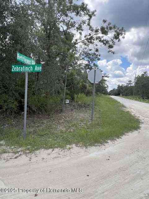Vacant Land For Sale - Zebrafinch Avenue<br/> WEEKI WACHEE, FL 34614
