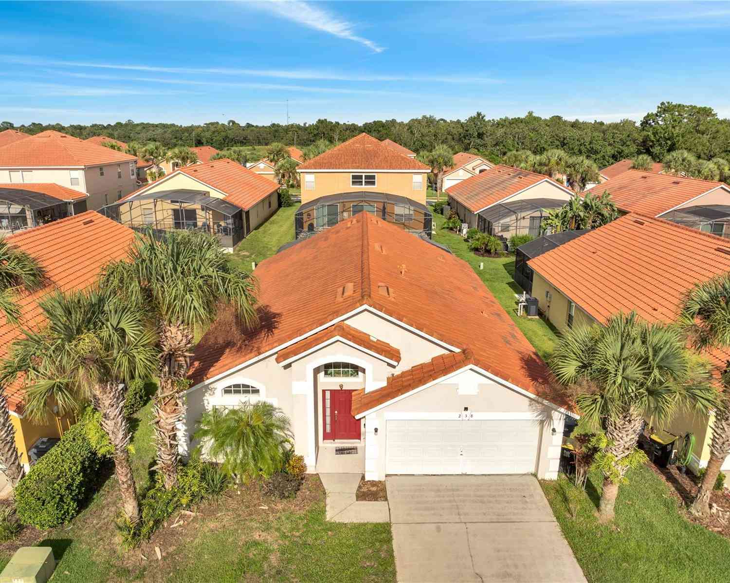 Homes For Sale - 238 Rosso Drive<br/> DAVENPORT, FL 33837