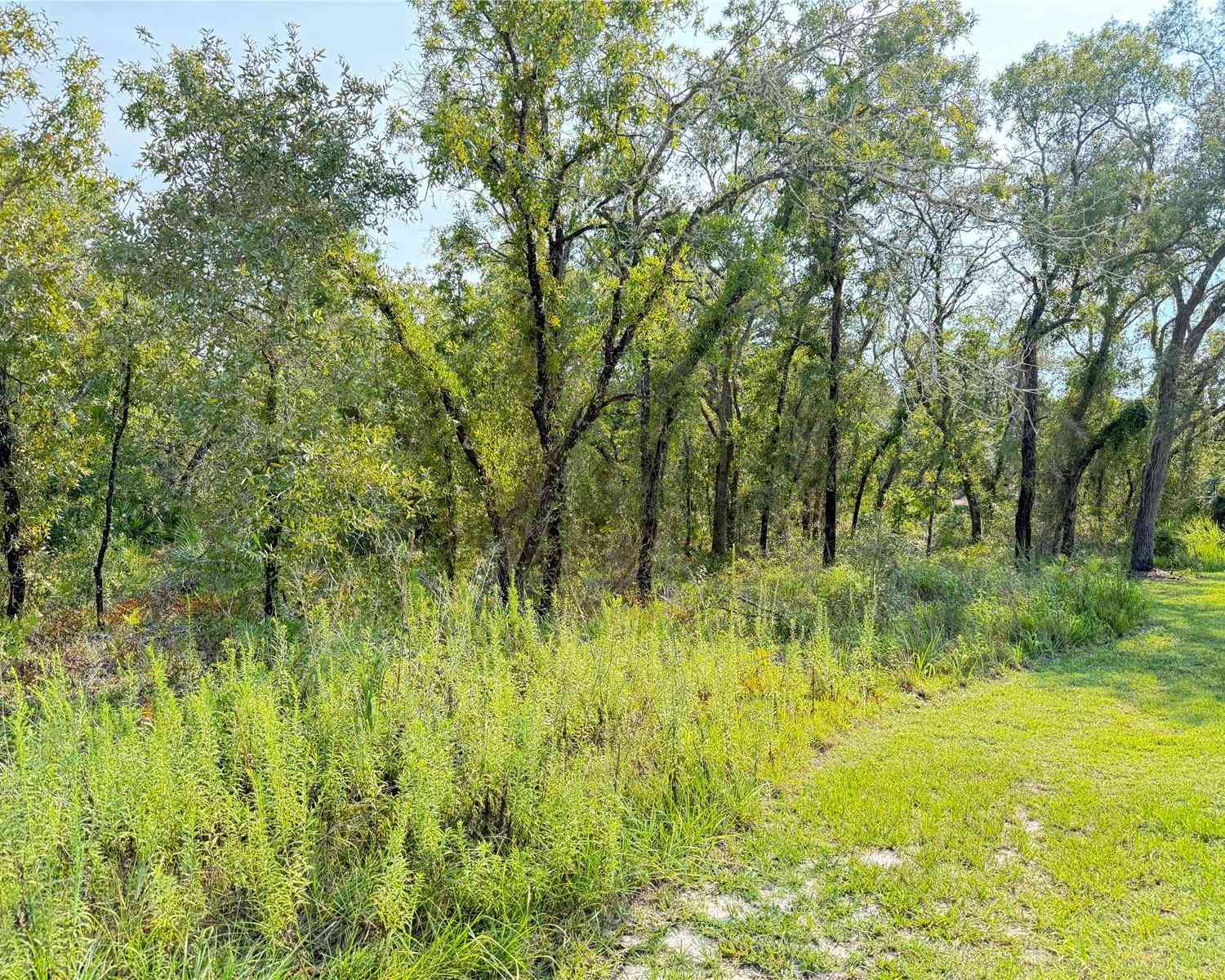 Vacant Land For Sale - 11096 Marsh Wren Avenue<br/> WEEKI WACHEE, FL 34614