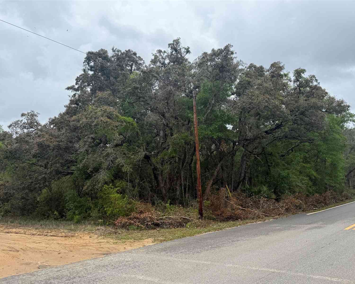 Vacant Land For Sale - TBD Theresa Avenue<br/> INTERLACHEN, FL 32148