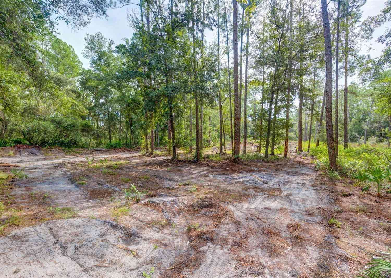 Vacant Land For Sale - 34389 Grindstone Drive<br/> WEBSTER, FL 33597