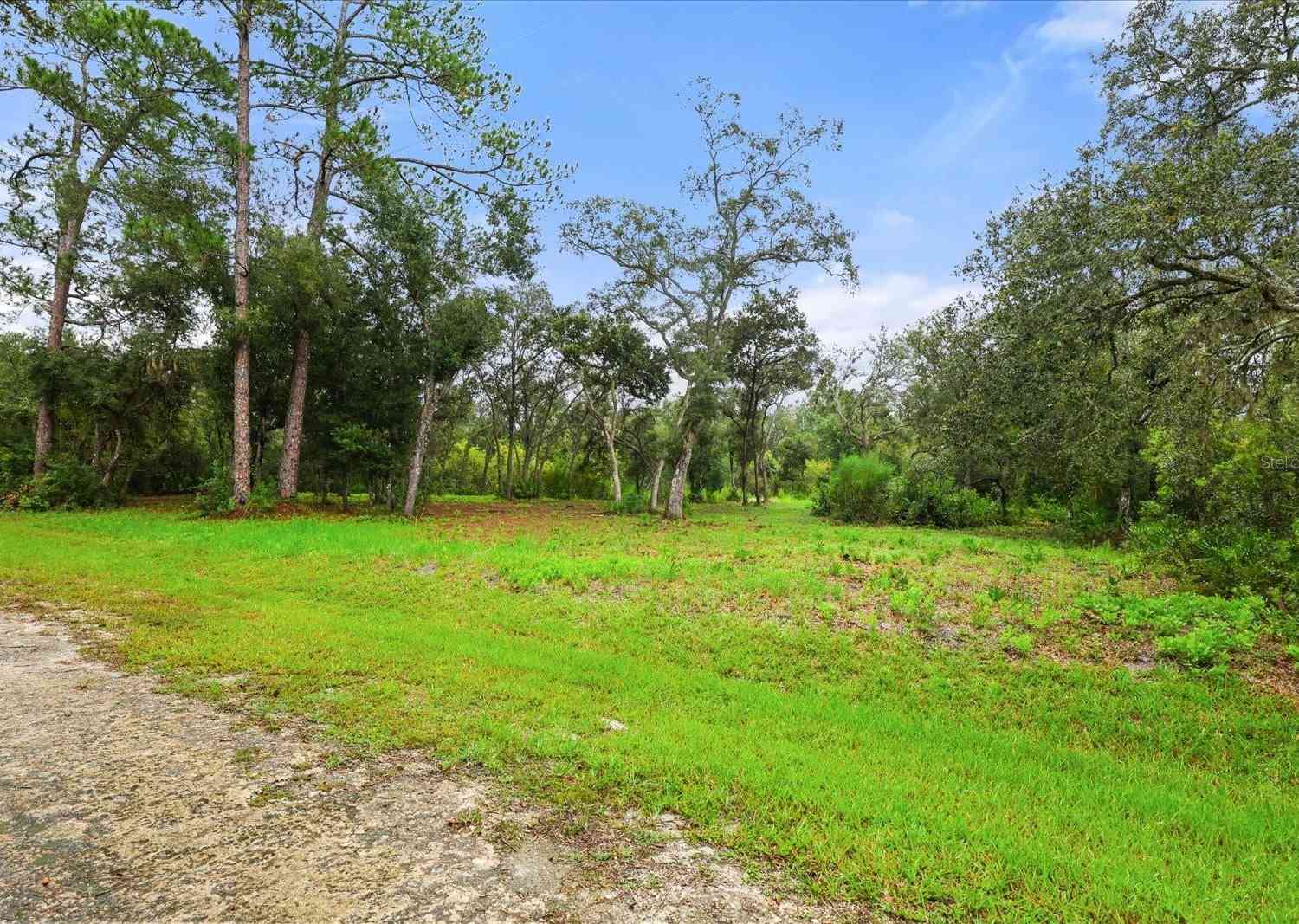 Vacant Land For Sale - Creekstone Street<br/> WEBSTER, FL 33597