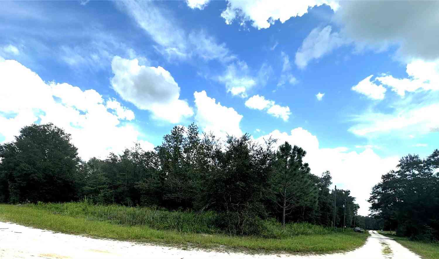 Vacant Land For Sale - SW 134th Court<br/> DUNNELLON, FL 34432