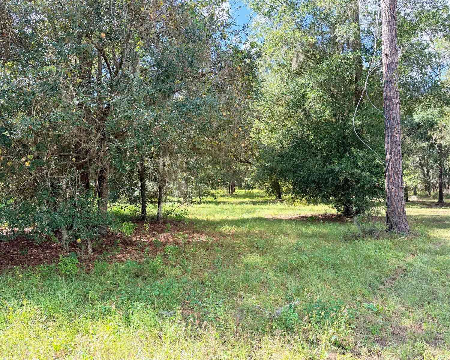 Vacant Land For Sale - Bonsmara Drive<br/> GROVELAND, FL 34736