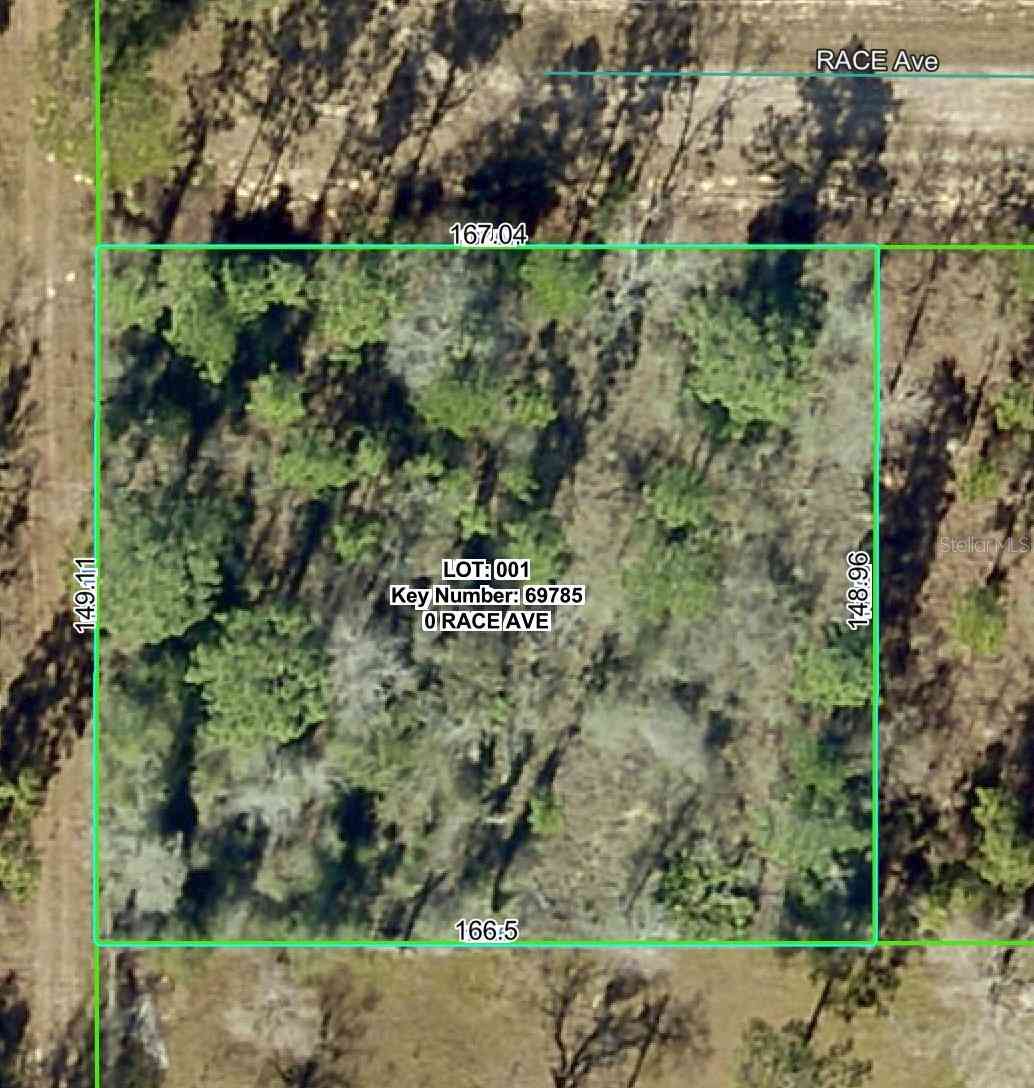 Vacant Land For Sale - 14056 Race Avenue<br/> WEEKI WACHEE, FL 34614