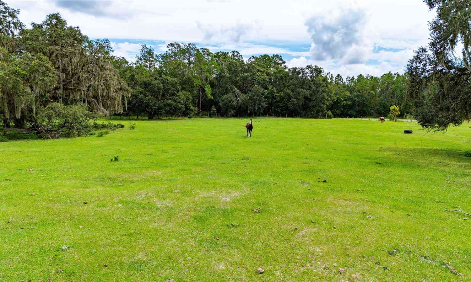 Vacant Land For Sale - Pinkston Road<br/> DADE CITY, FL 33523