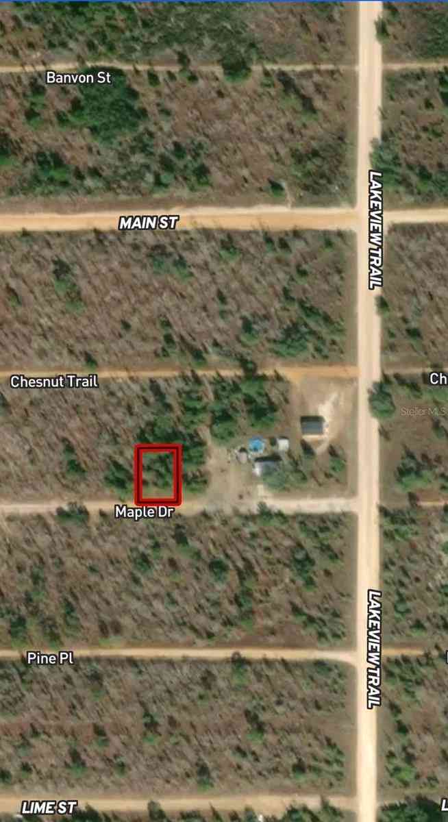 Vacant Land For Sale - LOT 45 & 46 Maple Drive<br/> INTERLACHEN, FL 32148