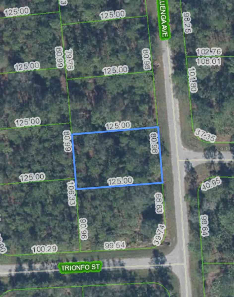 Vacant Land For Sale - 5119 Luenga Avenue<br/> SEBRING, FL 33872