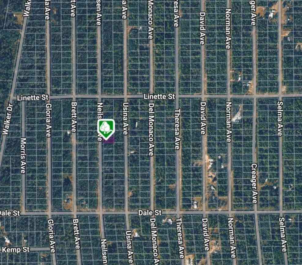 Vacant Land For Sale - LOT 7 Neilsen Avenue<br/> INTERLACHEN, FL 32148