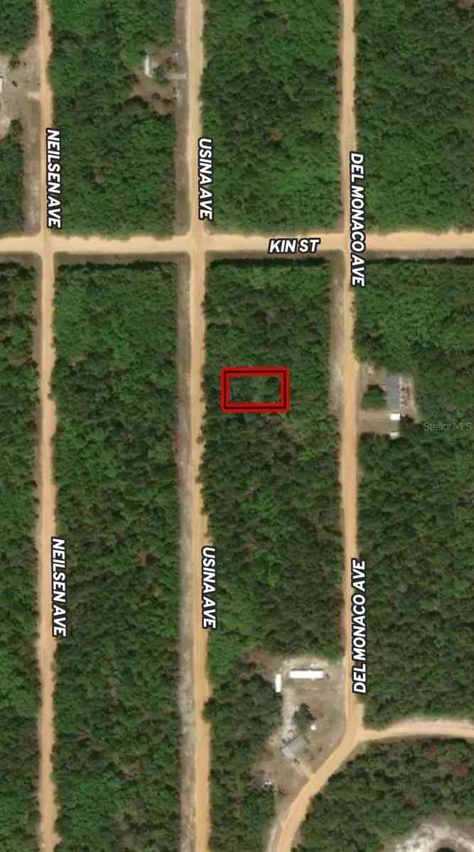 Vacant Land For Sale - LOT 4 Usina Avenue<br/> INTERLACHEN, FL 32148
