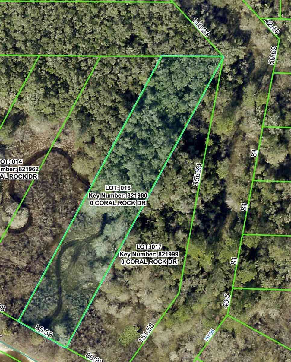 Vacant Land For Sale - 34063 Coral Rock Drive<br/> WEBSTER, FL 33597