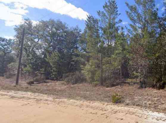 Vacant Land For Sale - Unassigned Rd<br/> INTERLACHEN, FL 32148