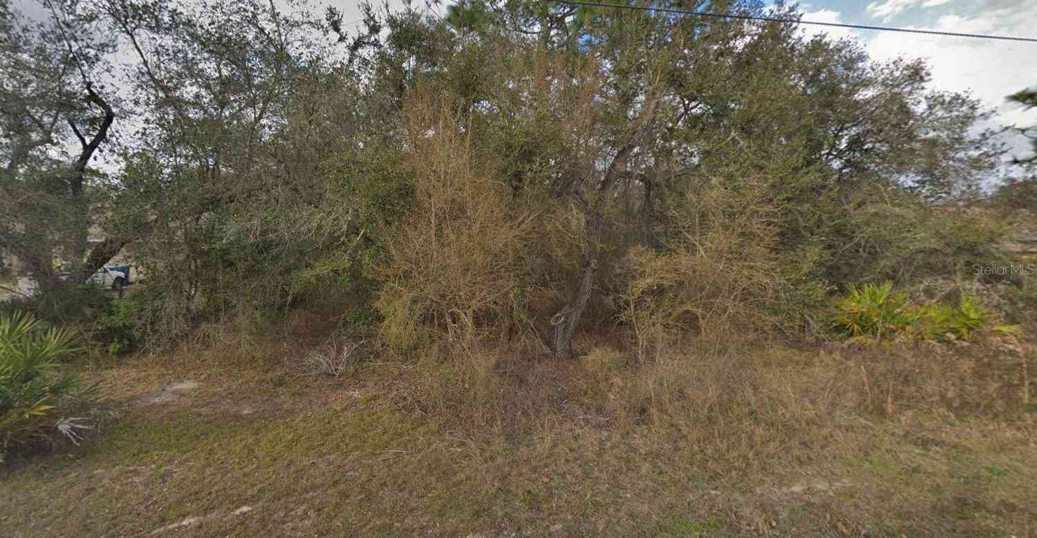 Vacant Land For Sale - 11405 Petrel Avenue<br/> WEEKI WACHEE, FL 34614