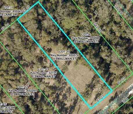 Vacant Land For Sale - Smallman Street<br/> WEBSTER, FL 33597