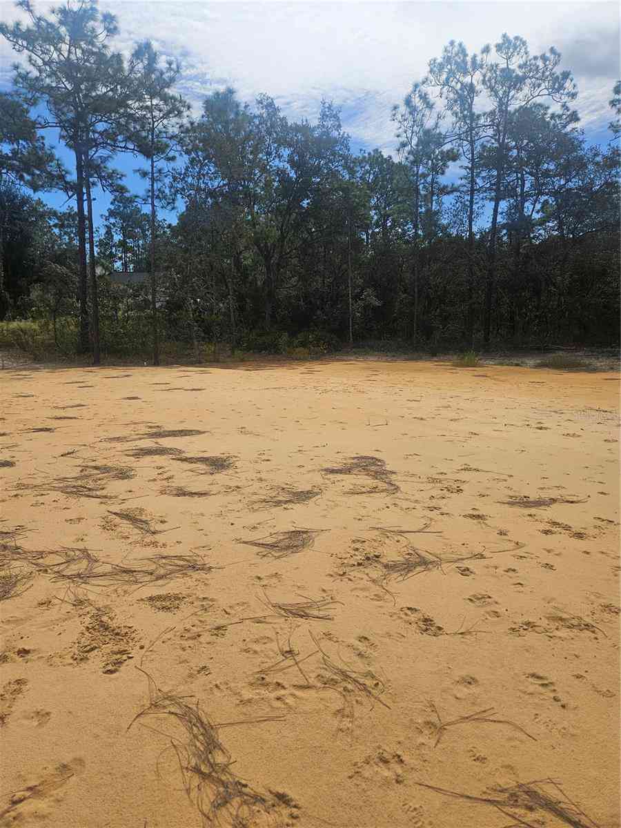 Vacant Land For Sale - 33216 Teakwood Drive<br/> WEBSTER, FL 33597