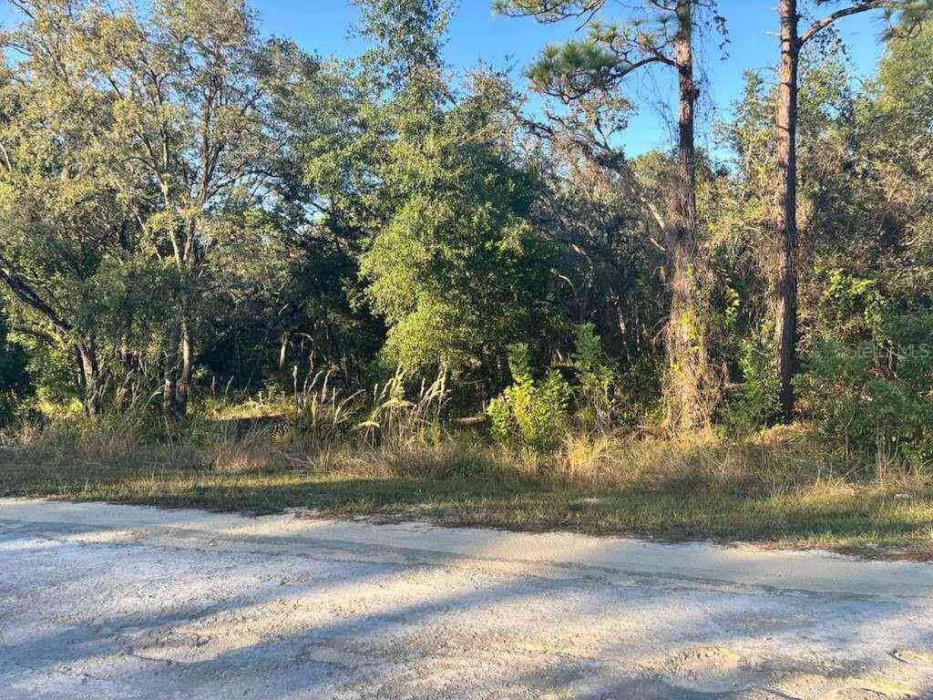 Vacant Land For Sale - 33193 Easter Drive<br/> WEBSTER, FL 33597