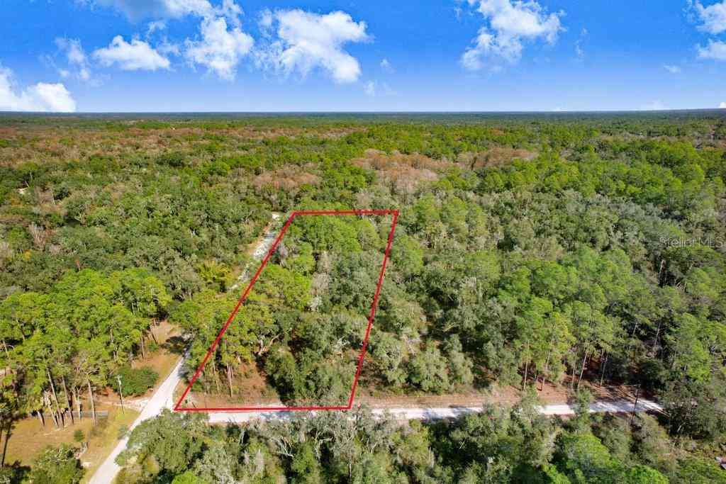 Vacant Land For Sale - Sonia Avenue<br/> WEBSTER, FL 33597