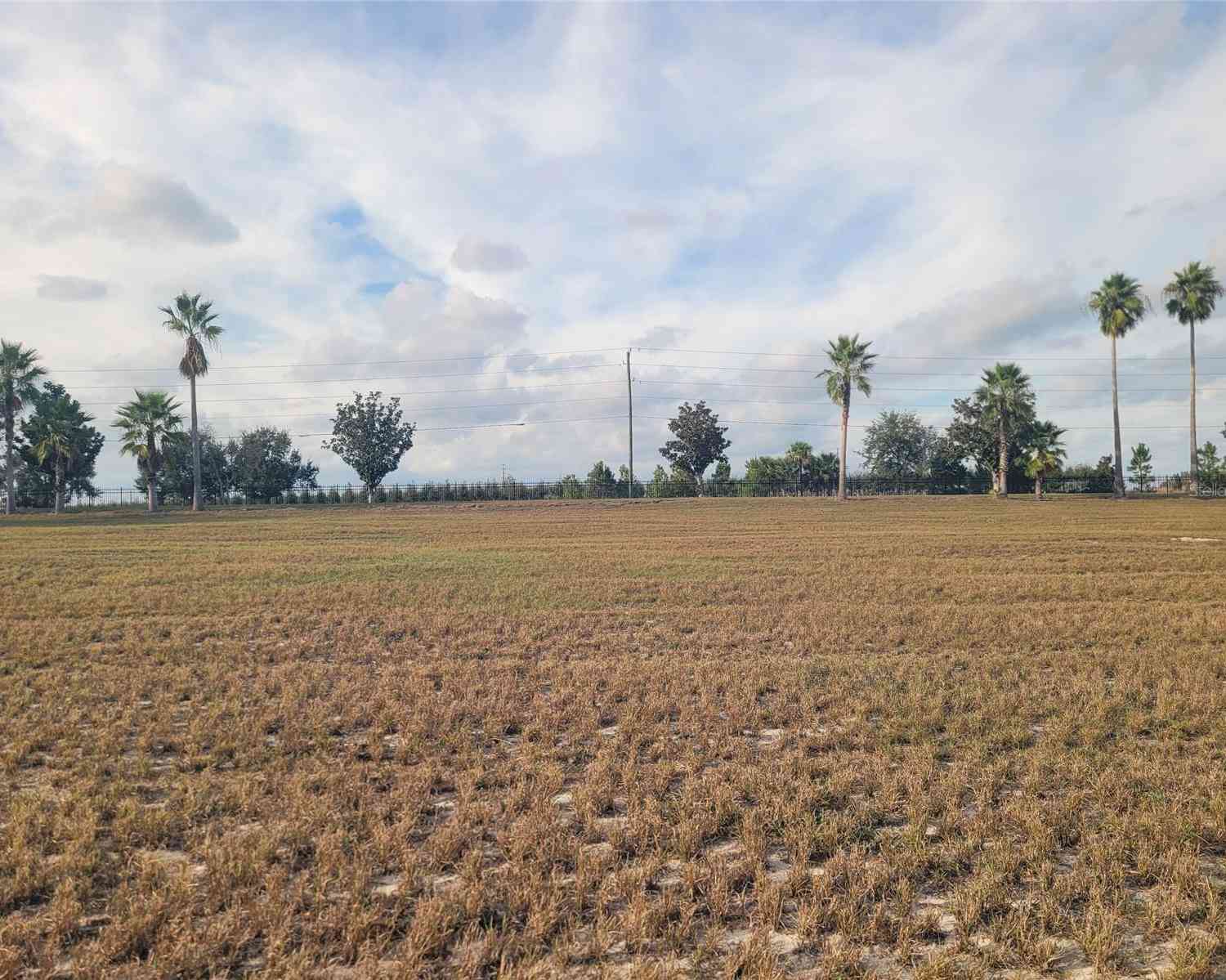 Vacant Land For Sale - 7425 Jasmine Street<br/> GROVELAND, FL 34736