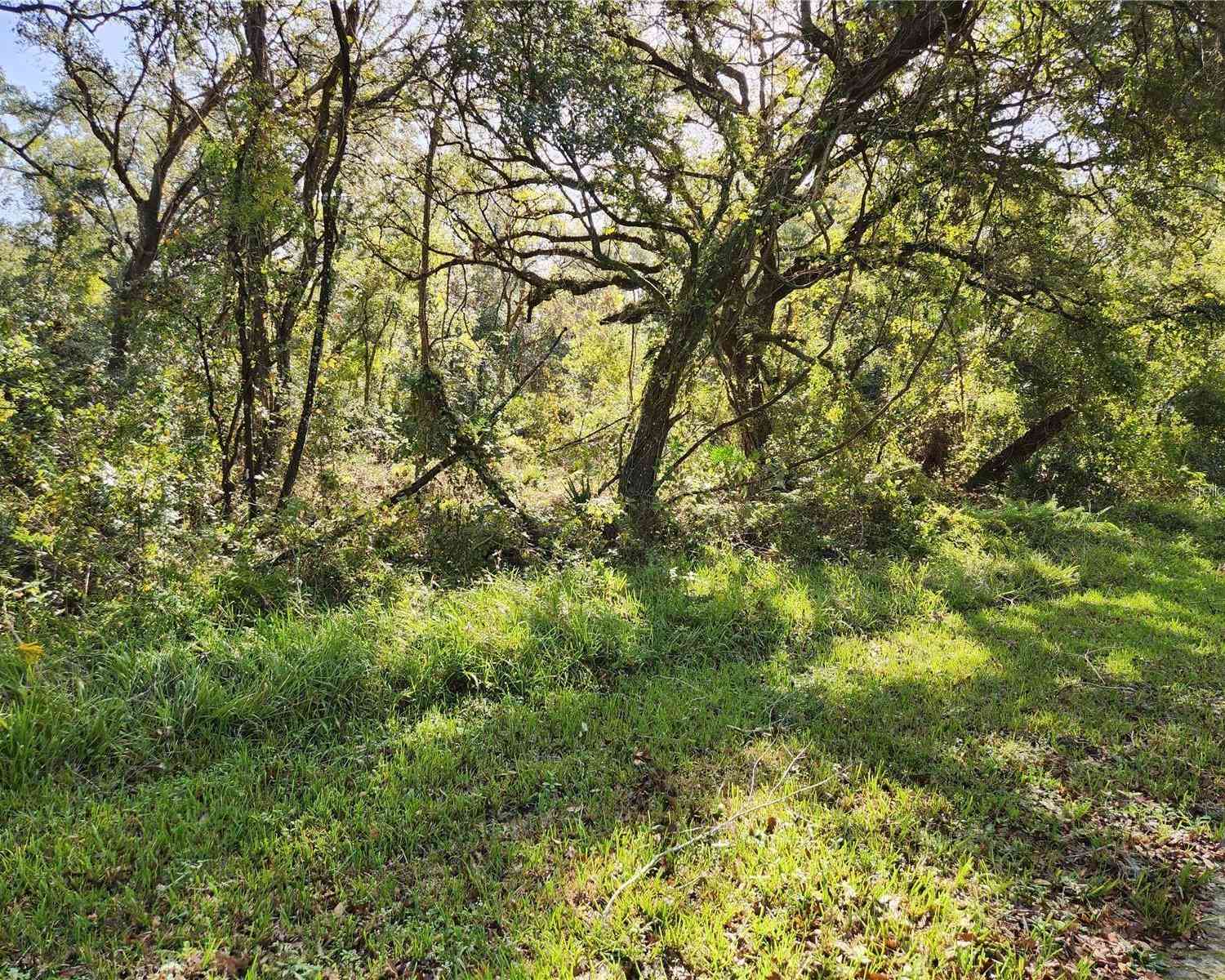 Vacant Land For Sale - 000 Table Rock Drive<br/> WEBSTER, FL 33597