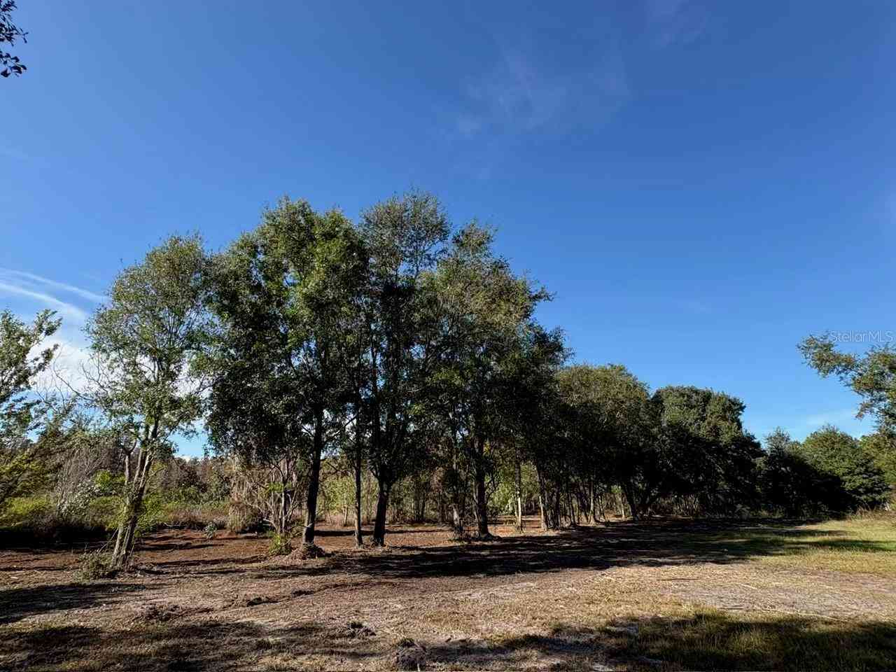 Vacant Land For Sale - Hammock Loop<br/> POLK CITY, FL 33868