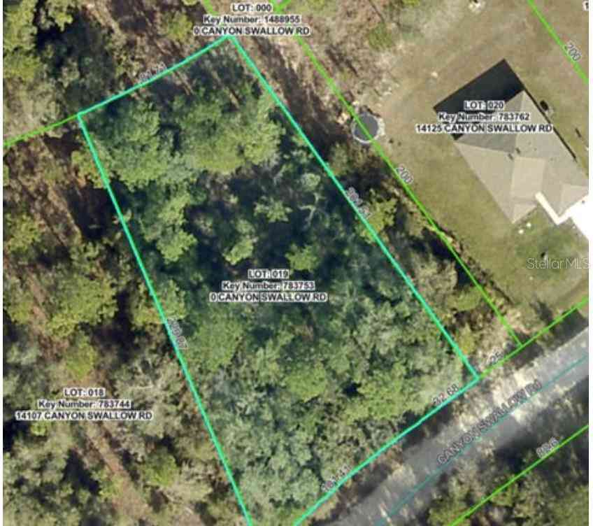 Vacant Land For Sale - LOT 19 Canyon Swallow Road<br/> WEEKI WACHEE, FL 34614