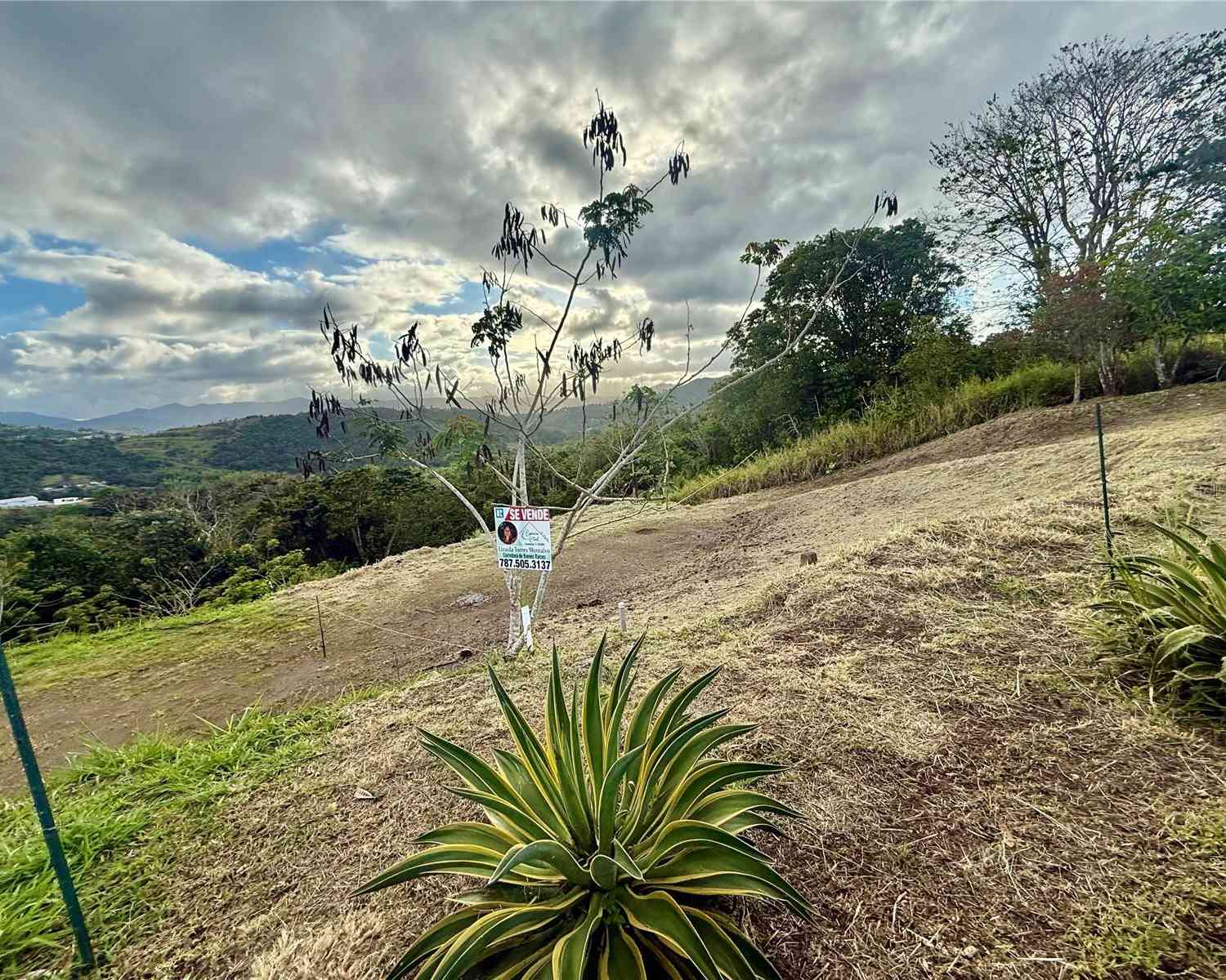 Vacant Land For Sale - Sector Campo Bello<br/> Cidra County, CIDRA, PR 00739