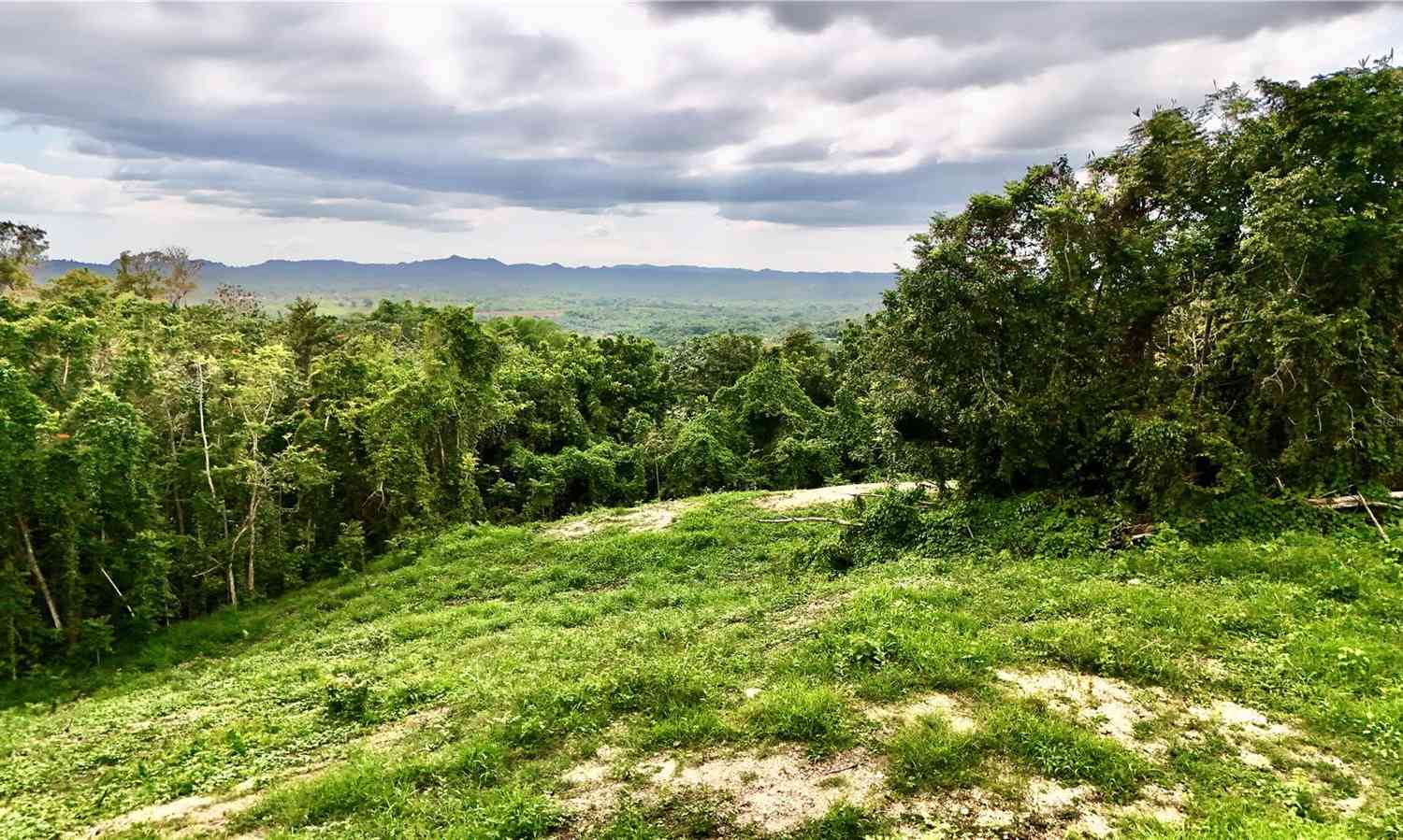 Vacant Land For Sale - Bo. Cidral Pr-450<br/> San Sebastian County, SAN SEBASTIAN, PR 00685