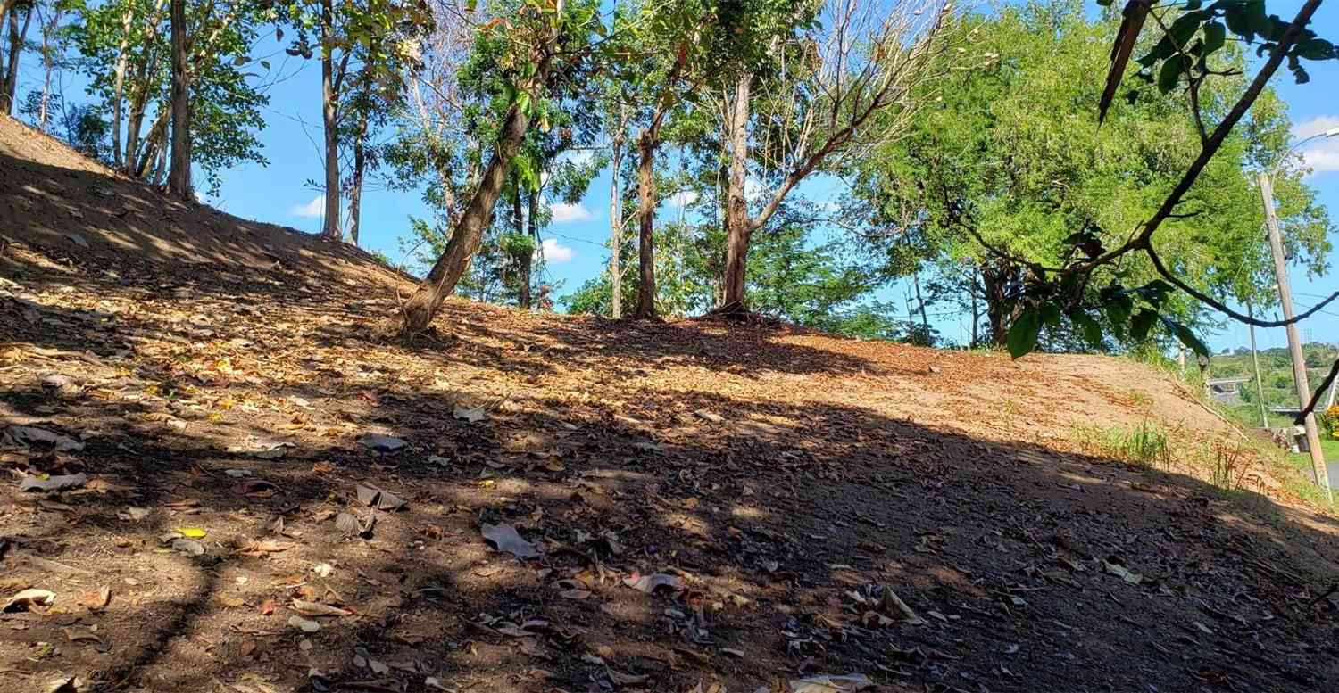 Vacant Land For Sale - Carretera 826 Km 1.2 Interior, Sector Hatito<br/> NARANJITO, PR 00719