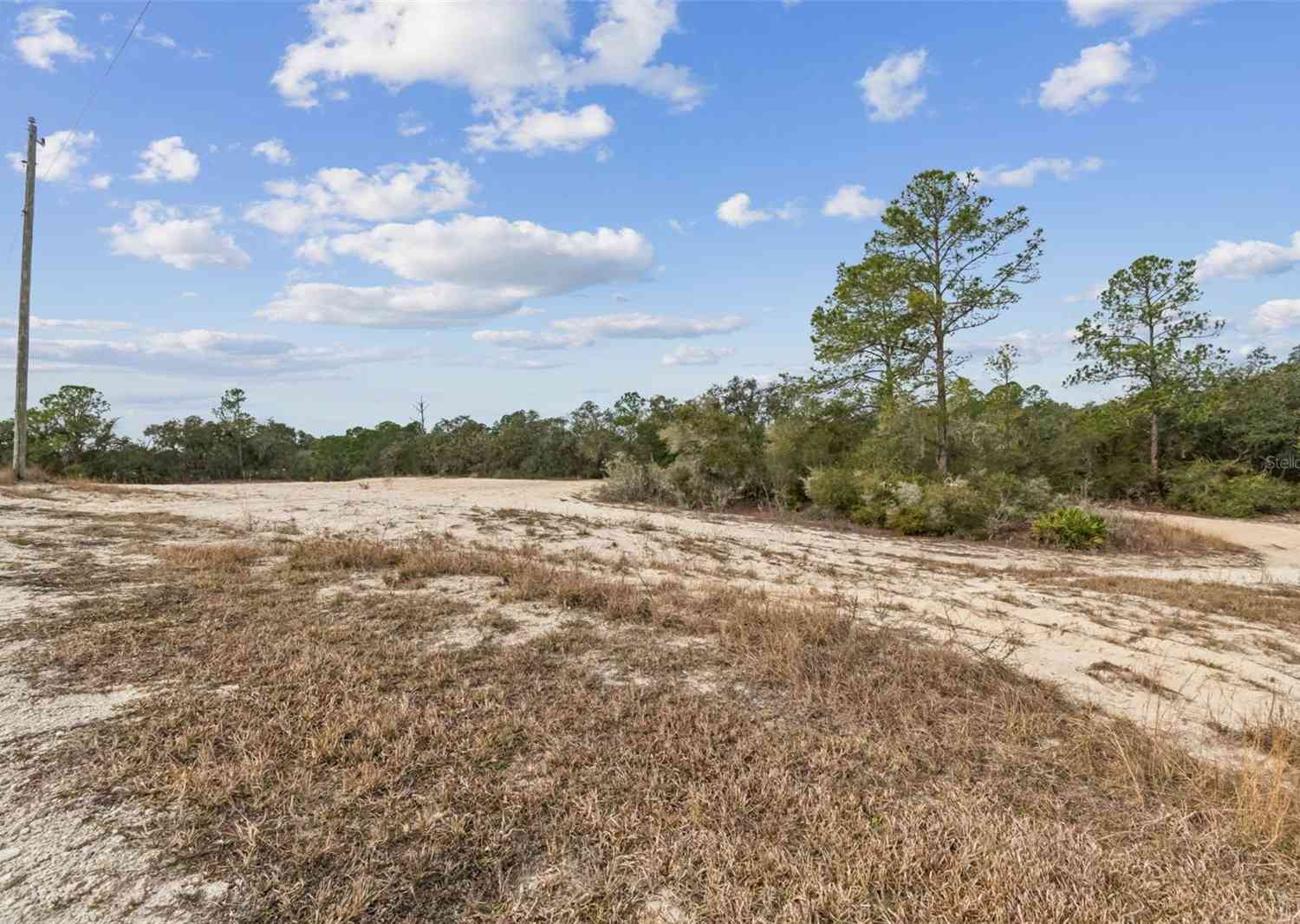 Vacant Land For Sale - Hardstone Drive<br/> WEBSTER, FL 33597