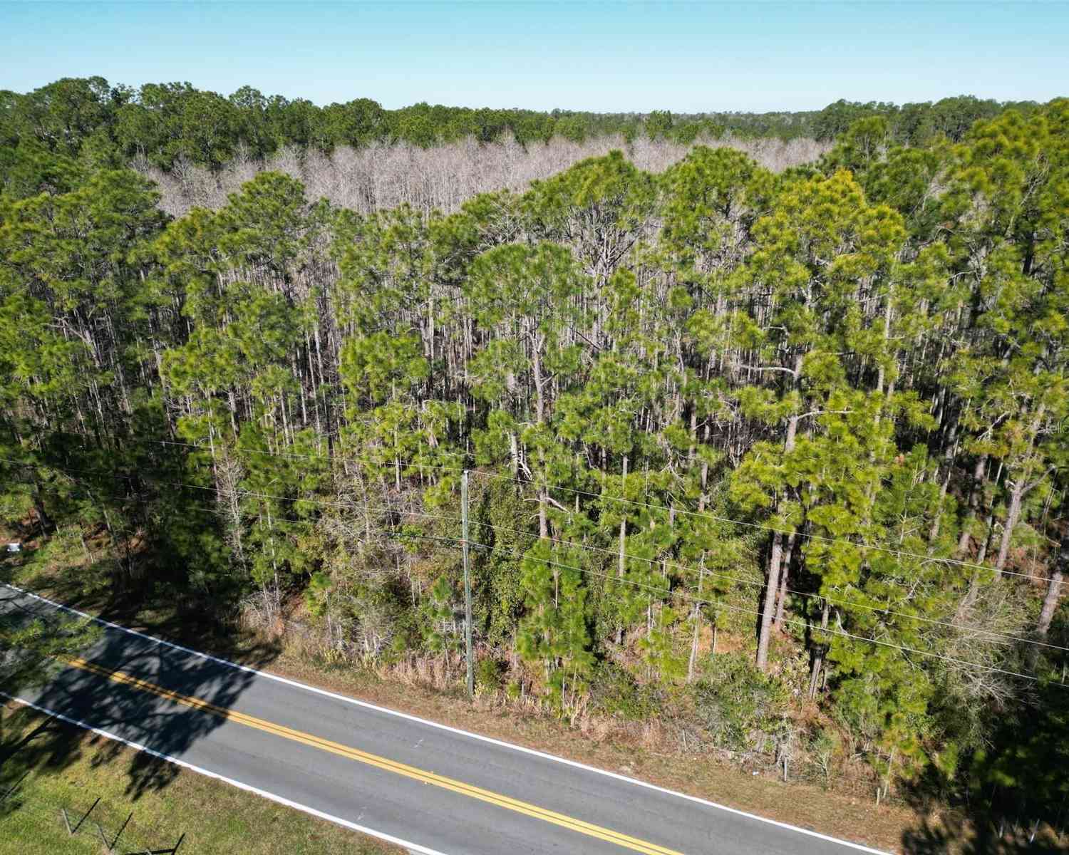 Vacant Land For Sale - Green Pond Road<br/> POLK CITY, FL 33868