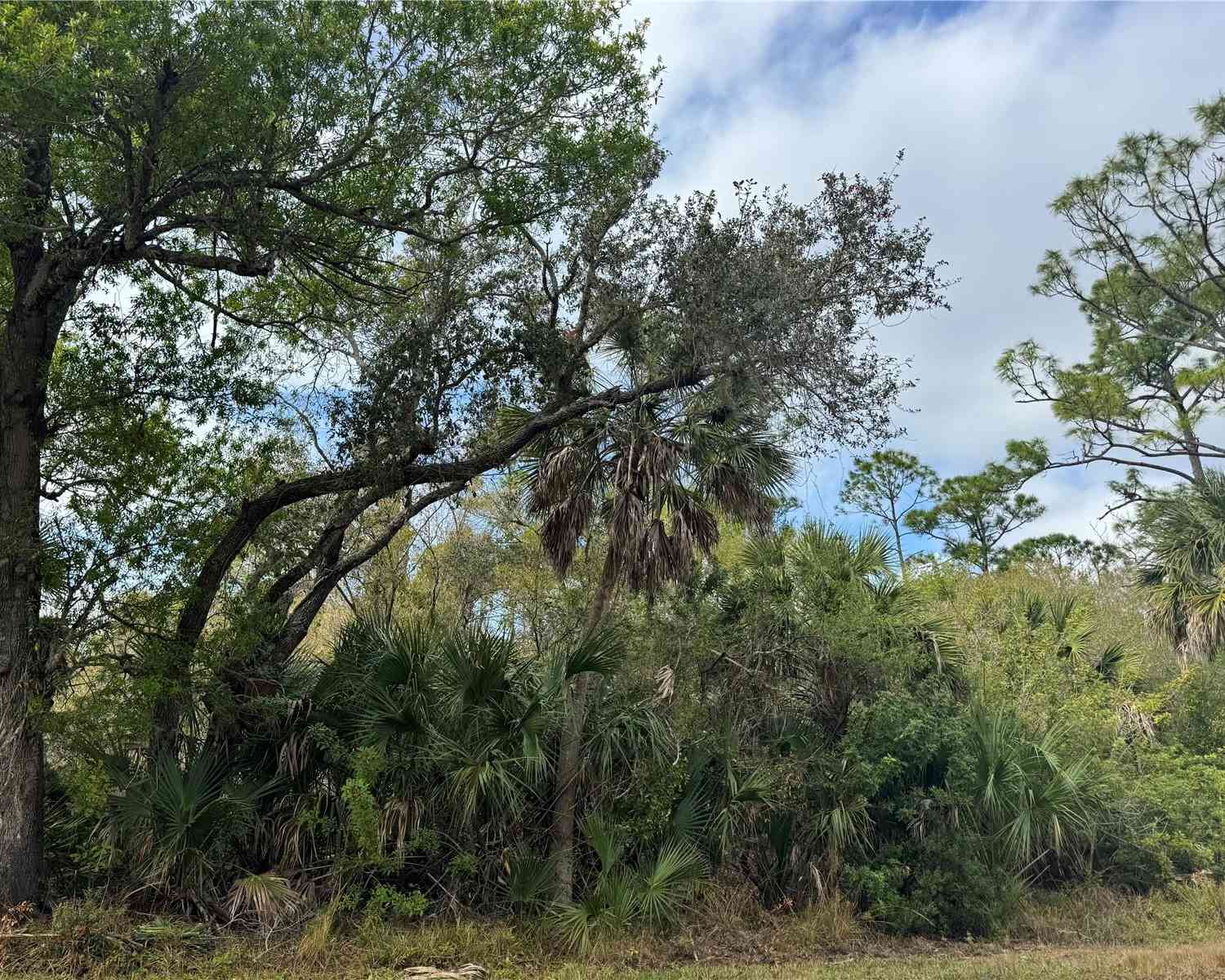 Vacant Land For Sale - 2433 Largo Street<br/> PUNTA GORDA, FL 33980