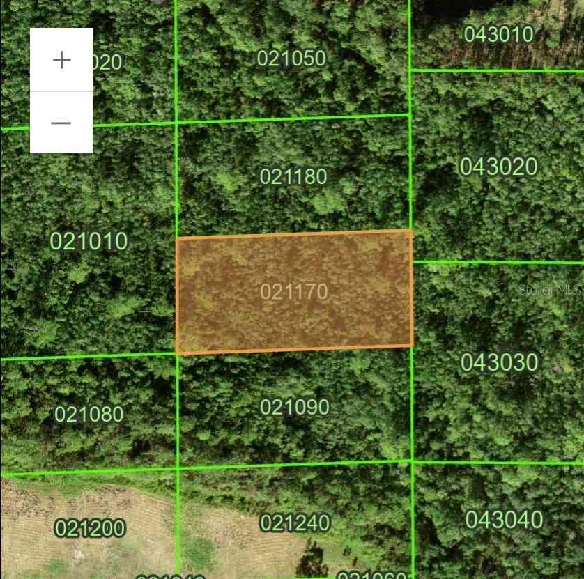 Vacant Land For Sale - 1<br/> POLK CITY, FL 33868