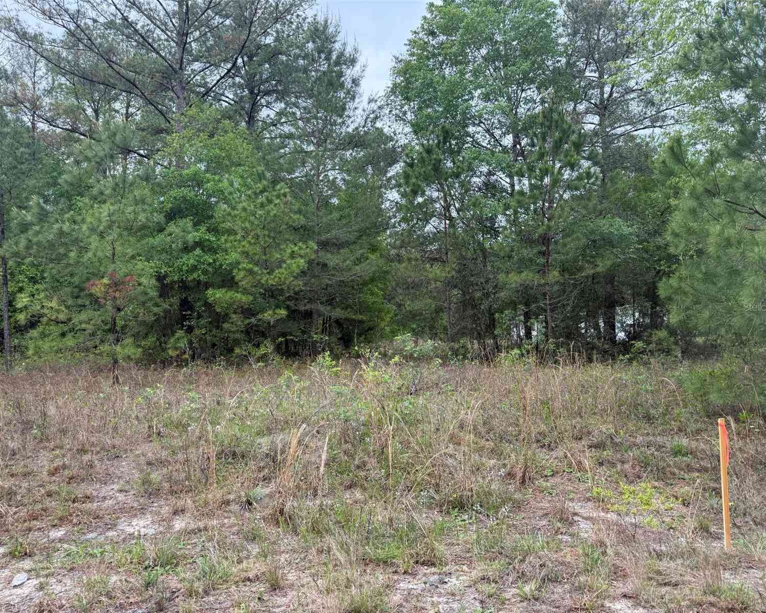 Vacant Land For Sale - Maltas Avenue<br/> INTERLACHEN, FL 32148