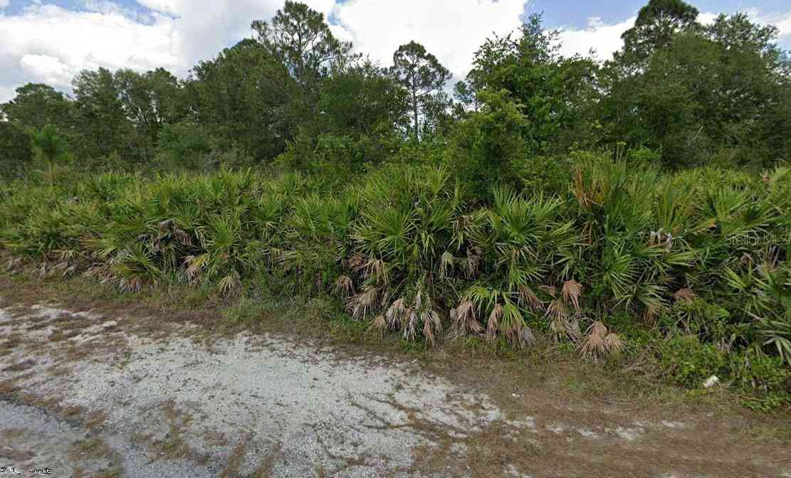 Vacant Land For Sale - 2020 Scott Avenue<br/> ALVA, FL 33920