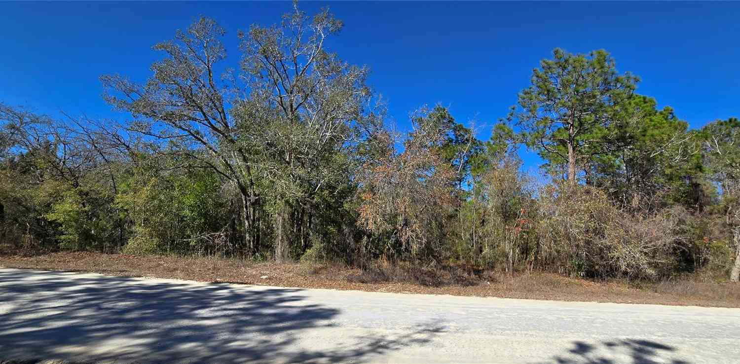 Vacant Land For Sale - 13231 Road Runner Avenue<br/> WEEKI WACHEE, FL 34614