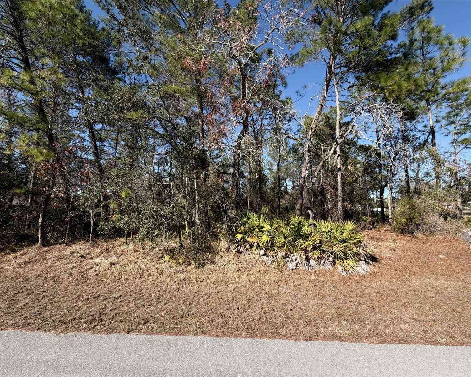 Vacant Land For Sale - Fool Duck Avenue<br/> WEEKI WACHEE, FL 34613