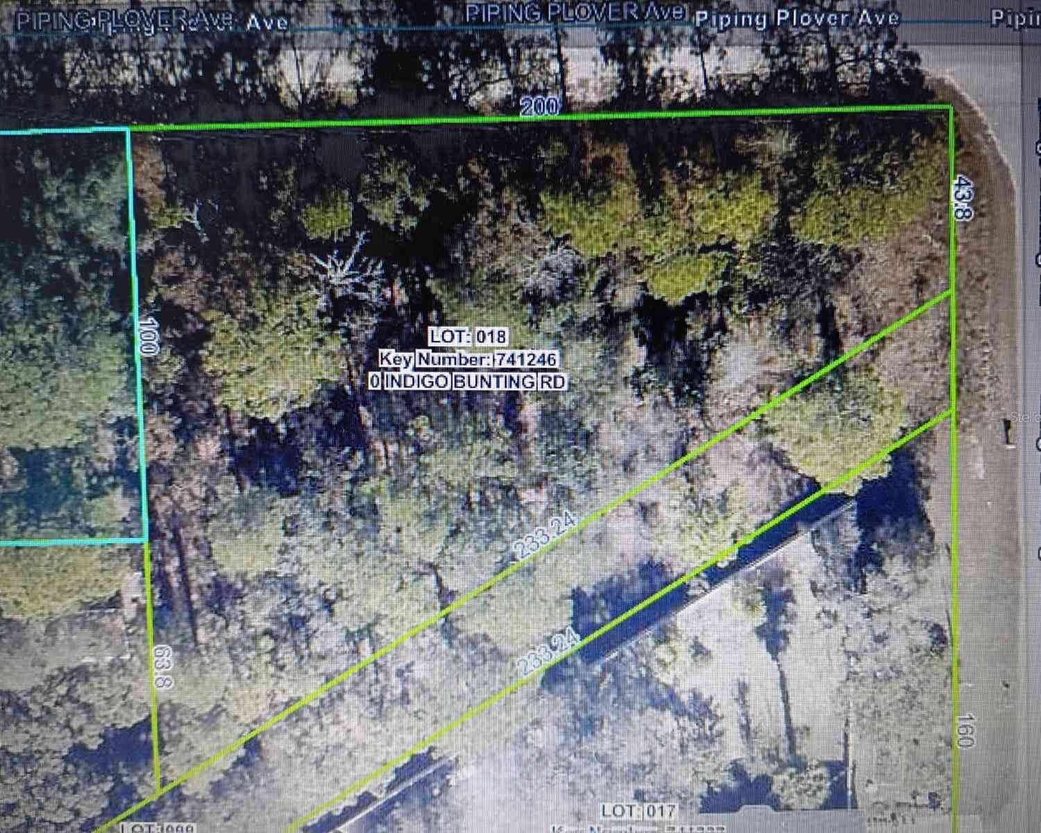 Vacant Land For Sale - 12449 Indigo Bunting<br/> WEEKI WACHEE, FL 34614