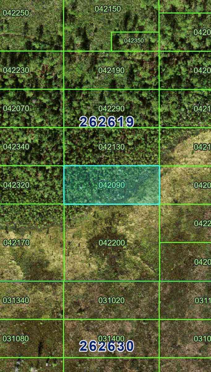 Vacant Land For Sale - Land<br/> POLK CITY, FL 33868