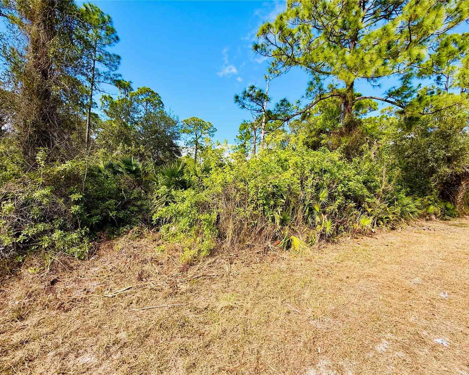 Vacant Land For Sale - 2007 Truman Avenue<br/> ALVA, FL 33920