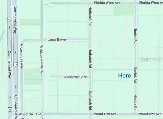 Vacant Land For Sale - 17467 Nimick Road<br/> WEEKI WACHEE, FL 34614