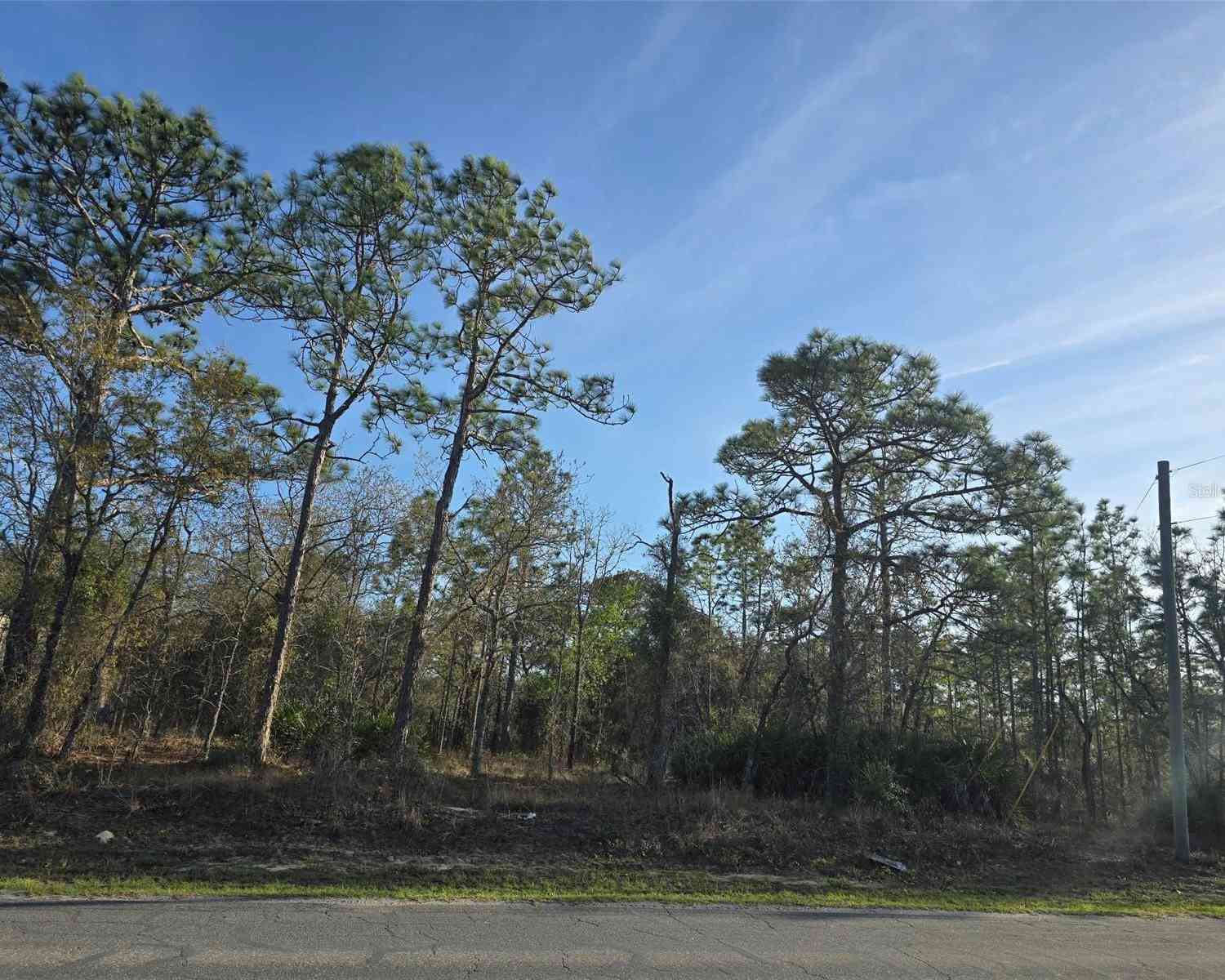 Vacant Land For Sale - 13070 Quigley Avenue<br/> WEEKI WACHEE, FL 34614
