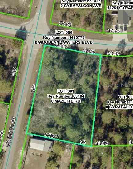 Vacant Land For Sale - Mazette Road<br/> WEEKI WACHEE, FL 34613