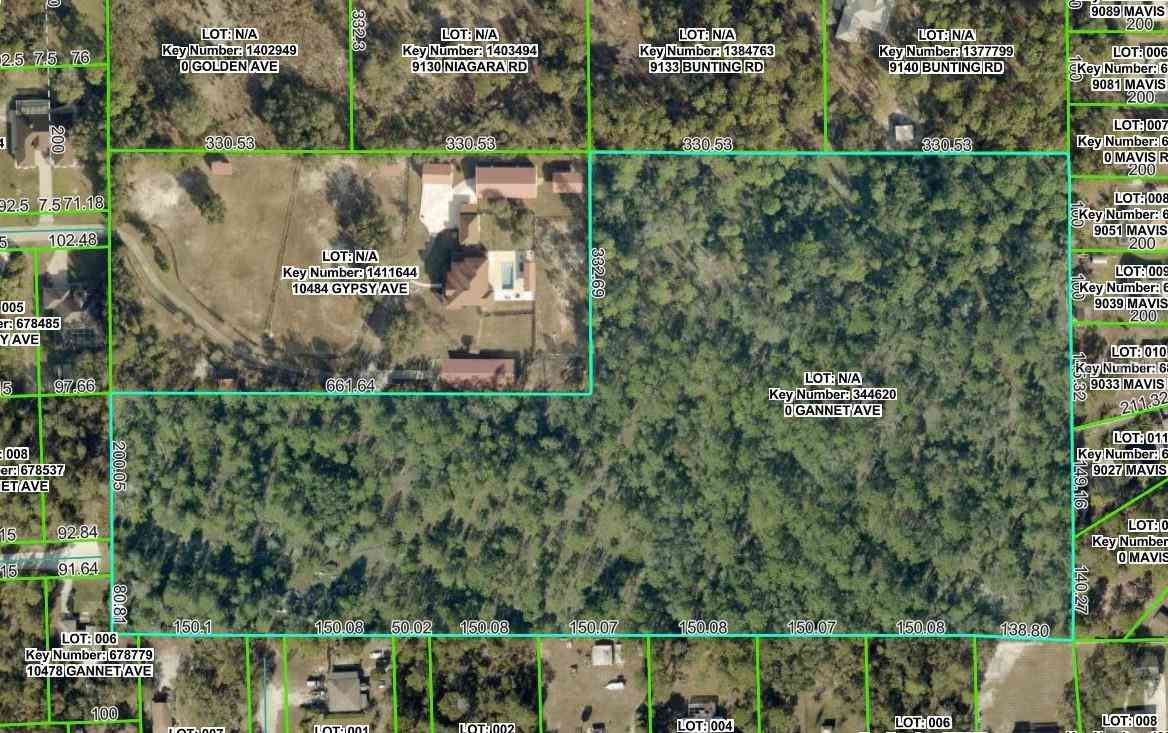 Vacant Land For Sale - Gannet Avenue<br/> WEEKI WACHEE, FL 34613