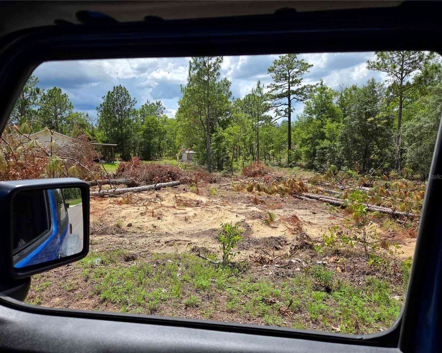 Vacant Land For Sale - TBD NE 14th Place<br/> WILLISTON, FL 32696
