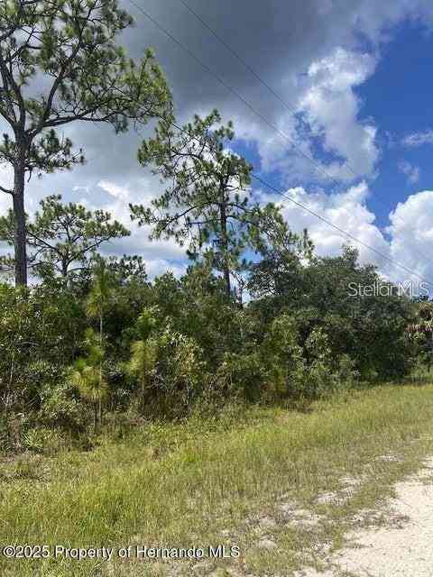 Vacant Land For Sale - 10194 Yellow Frog Avenue<br/> WEEKI WACHEE, FL 34614