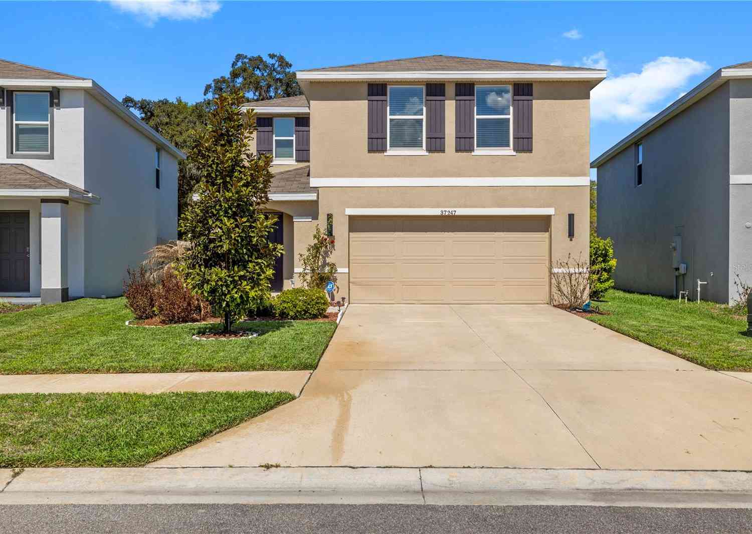 Homes For Sale - 37247 Kings Crown Drive<br/> ZEPHYRHILLS, FL 33541